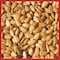 Coles Cole's Hot Meats Assorted Species Sunflower Meats Wild Bird Food 20 lb HM20 - alternate 2
